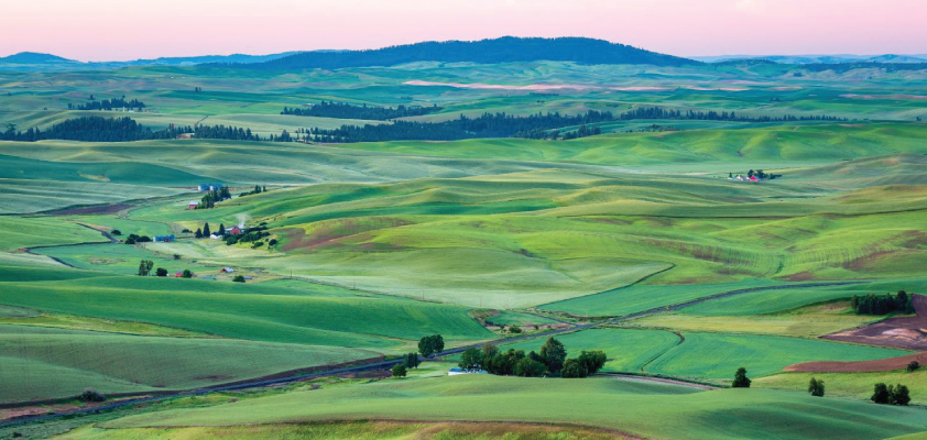 Landscape photo of rolling green hills with a sunset/sunrise in the background.
