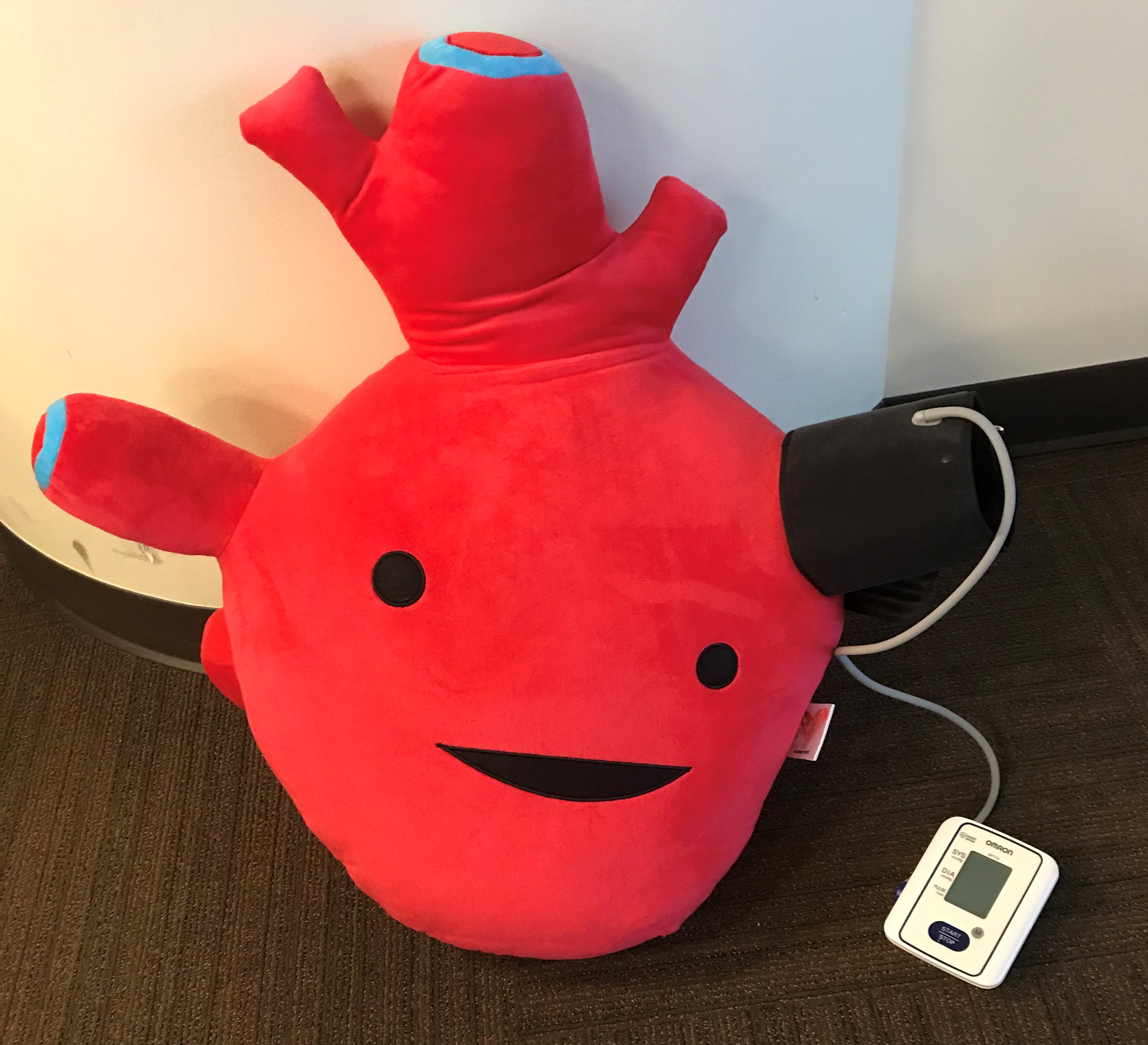 Red anatomically correct heart toy connected to a mock blood pressure cuff.