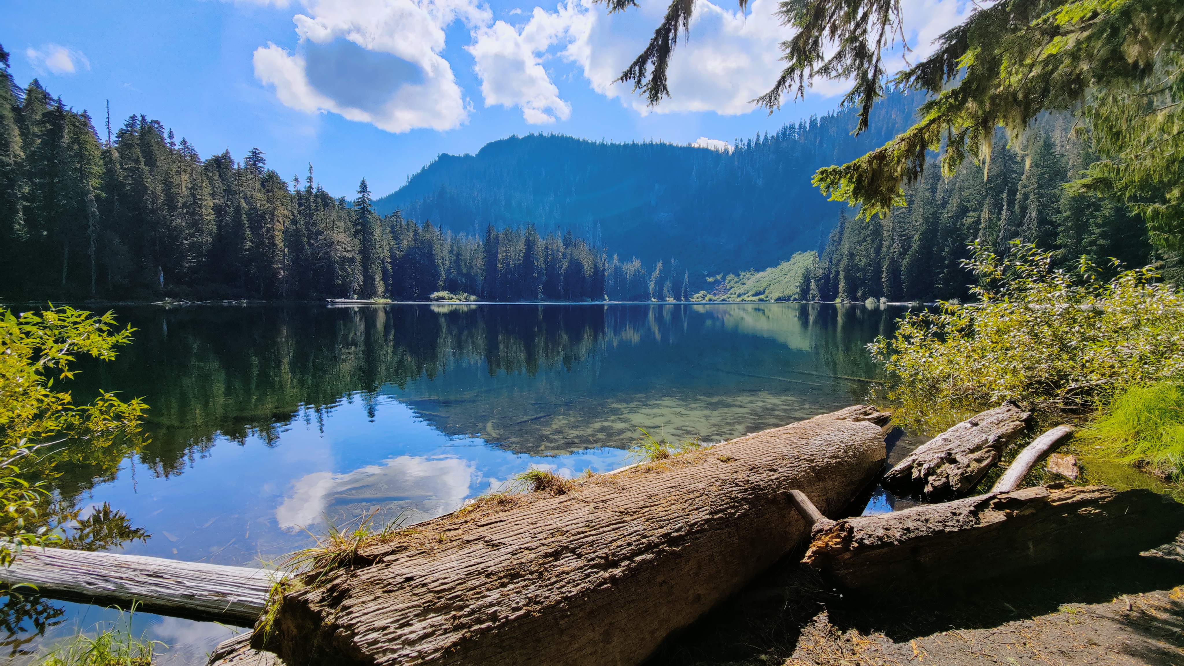 Sunny day with fluffy white clouds in the sky over mountains and trees around a smooth surface on Cora Lake with fallen timber in the foreground.