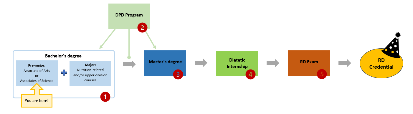 AA and AS flowchart showing position on pathway