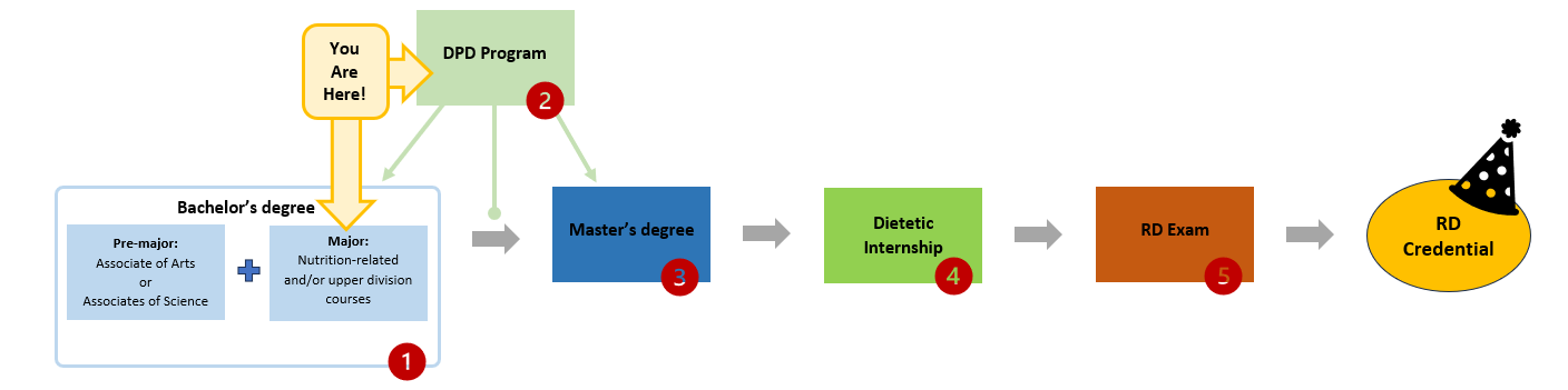 BS and DPD flowchart showing position on pathway