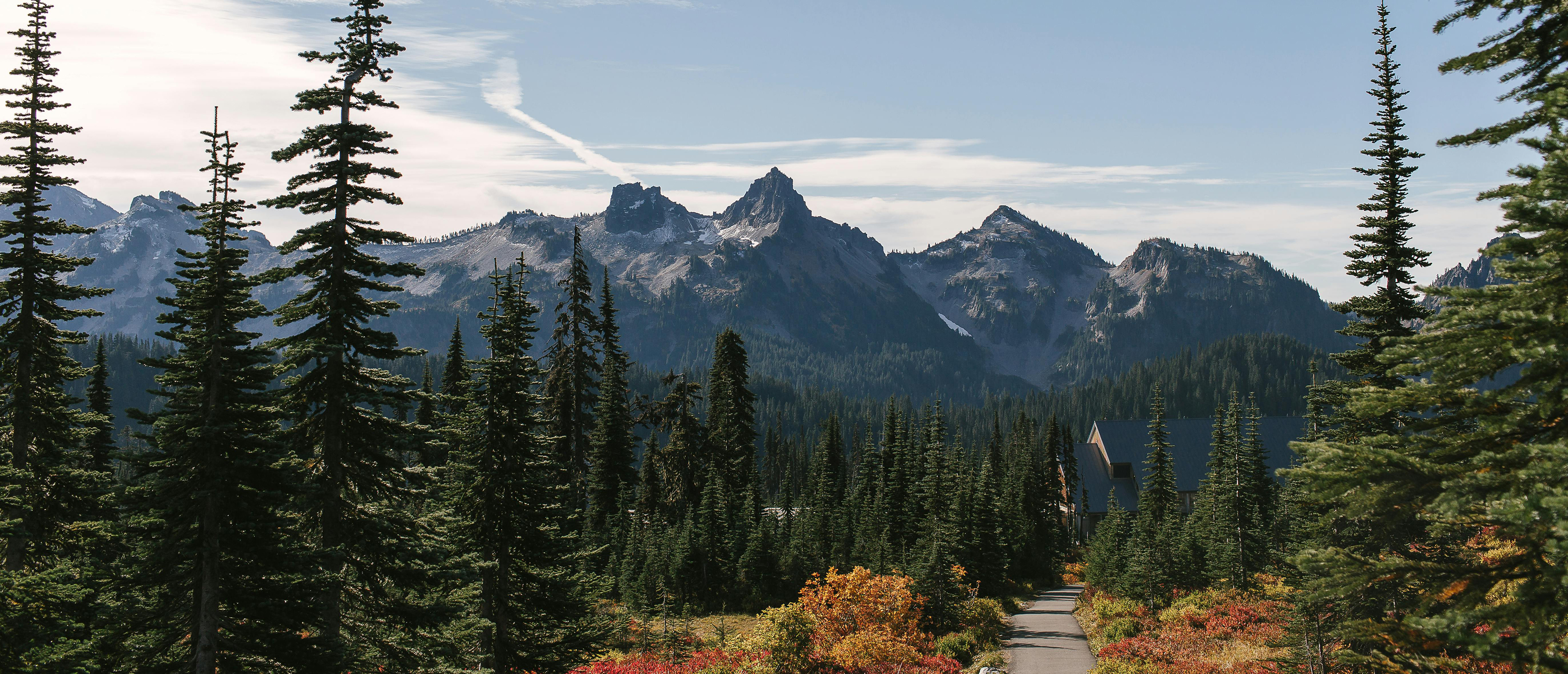 scenic photo of mountains in rainier, wa