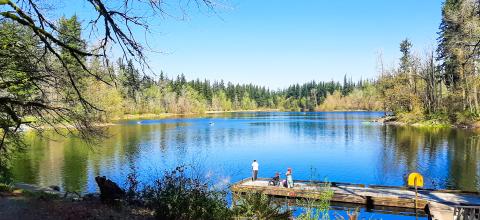 Blue lake with people kayaking surrounded by trees with a wooden pier in the foreground.