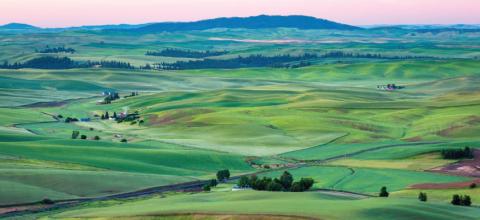 Landscape photo of rolling green hills with a sunset/sunrise in the background.
