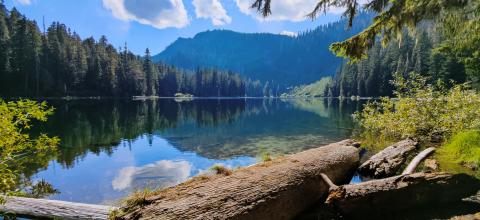 Sunny day with fluffy white clouds in the sky over mountains and trees around a smooth surface on Cora Lake with fallen timber in the foreground.